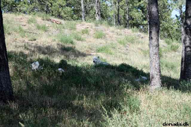 * Image 129