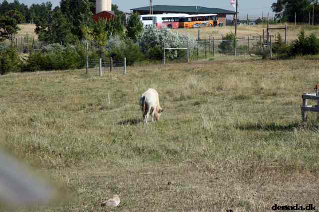 * Image 142