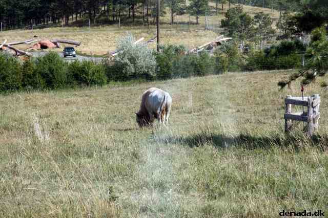 * Image 146