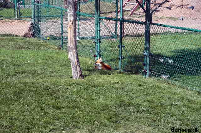 * Image 150