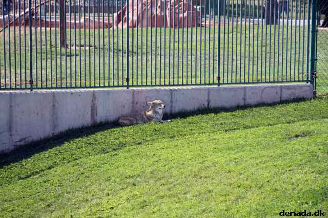 * Image 153