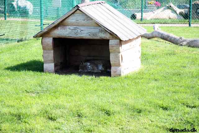 * Image 159