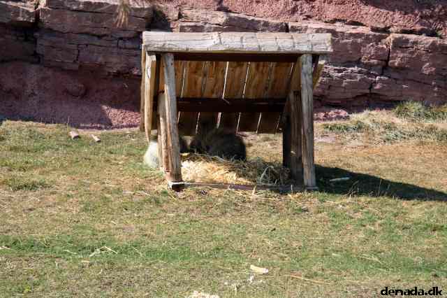 * Image 165
