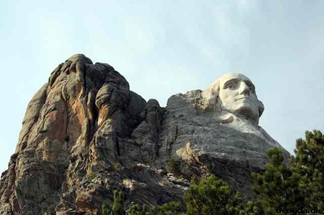 * Image 178