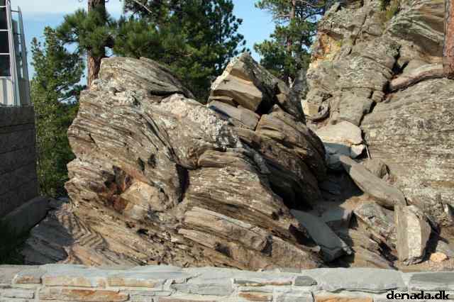 * Image 195