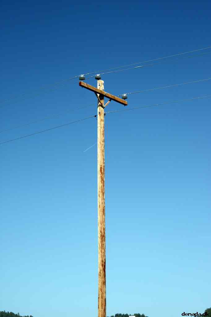 * Image 13