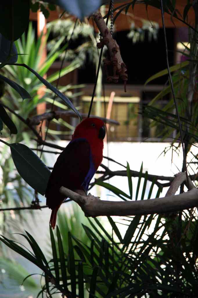 * Image 111