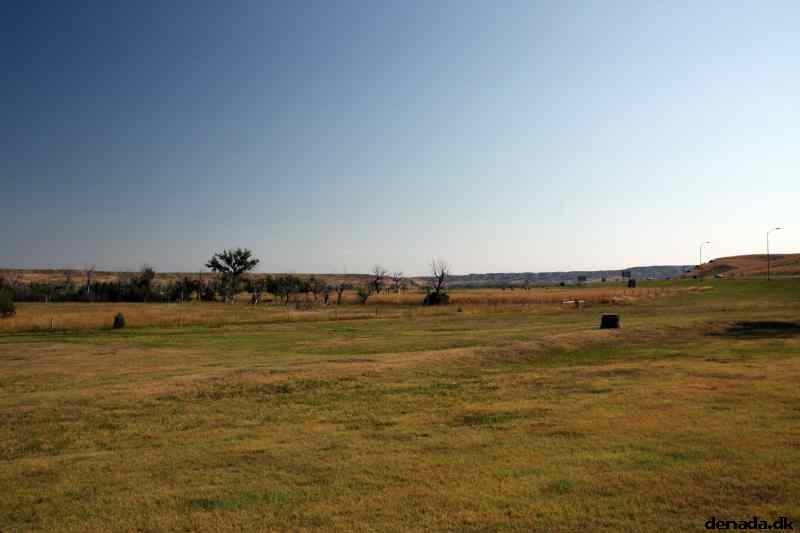 * Image 7