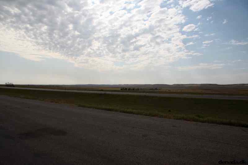 * Image 11