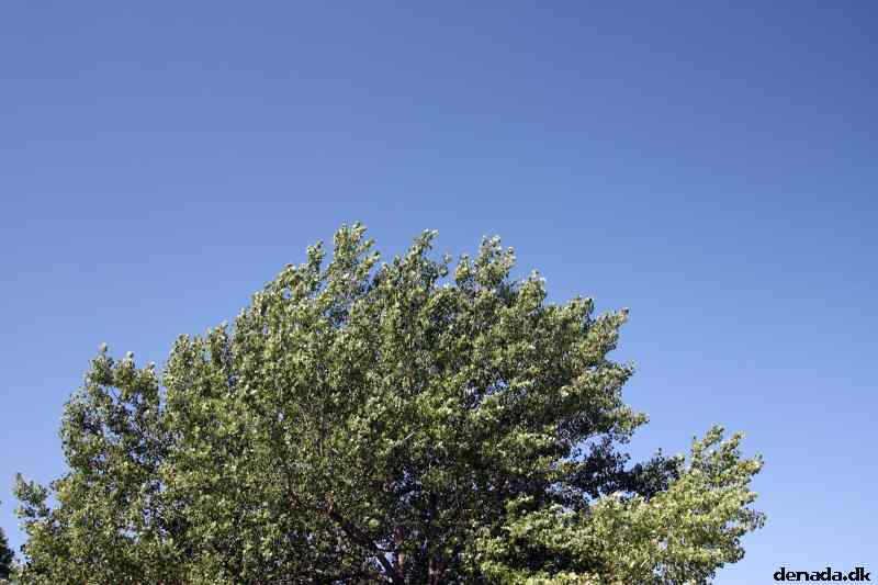 * Image 22