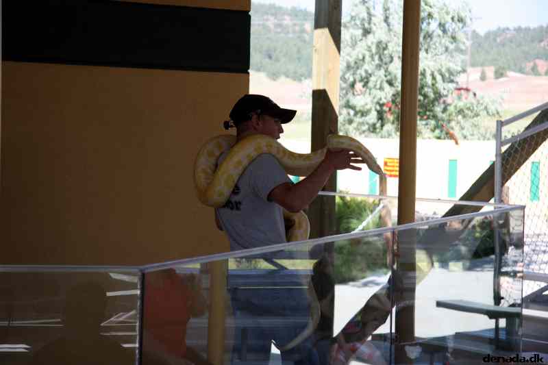 * Image 31