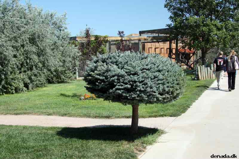 * Image 40