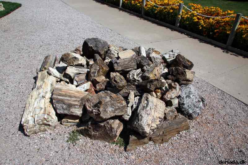 * Image 49