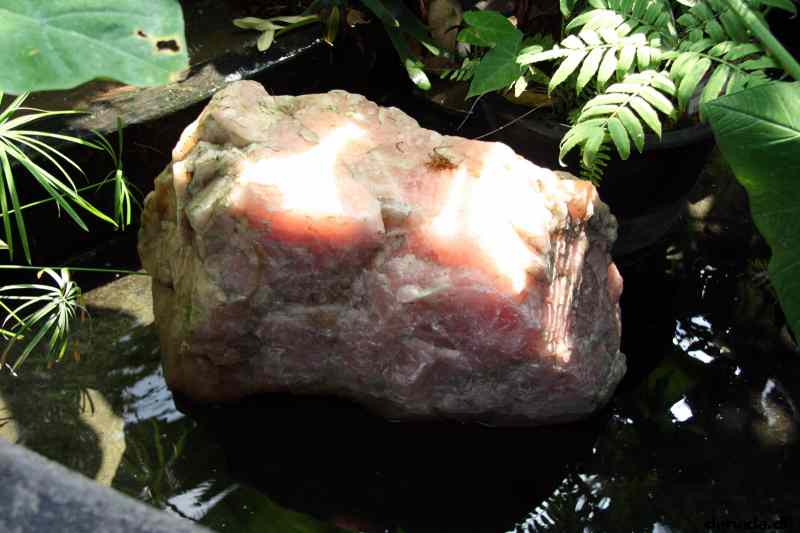 * Image 110