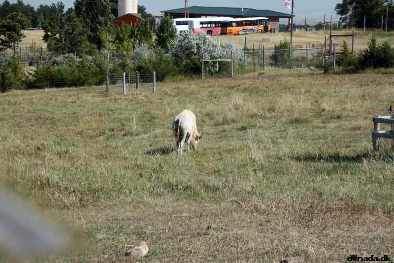 * Image 142