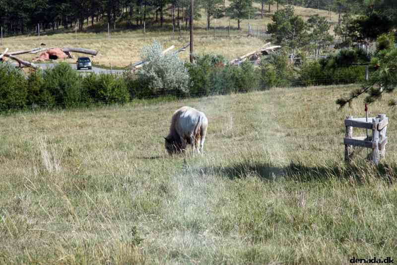* Image 146