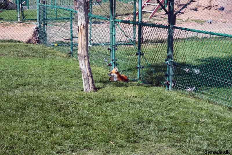 * Image 150