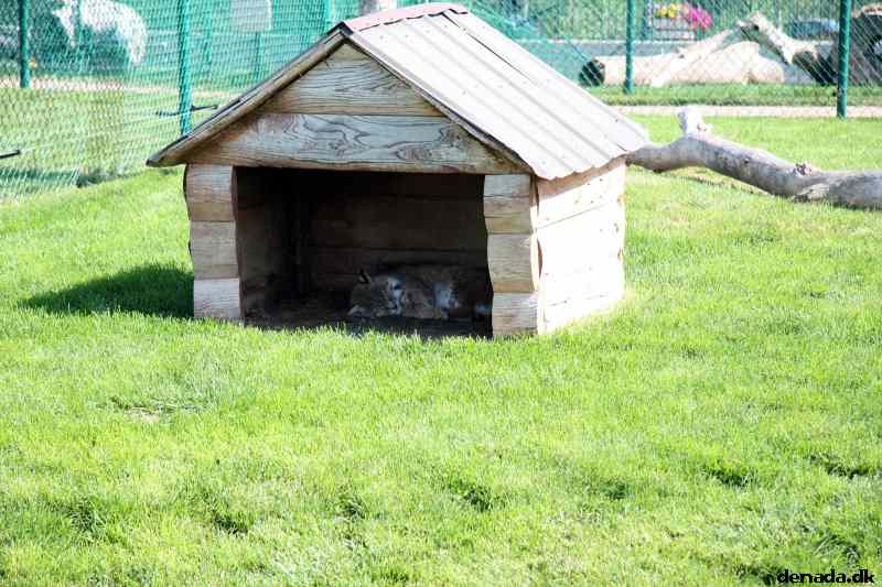 * Image 159