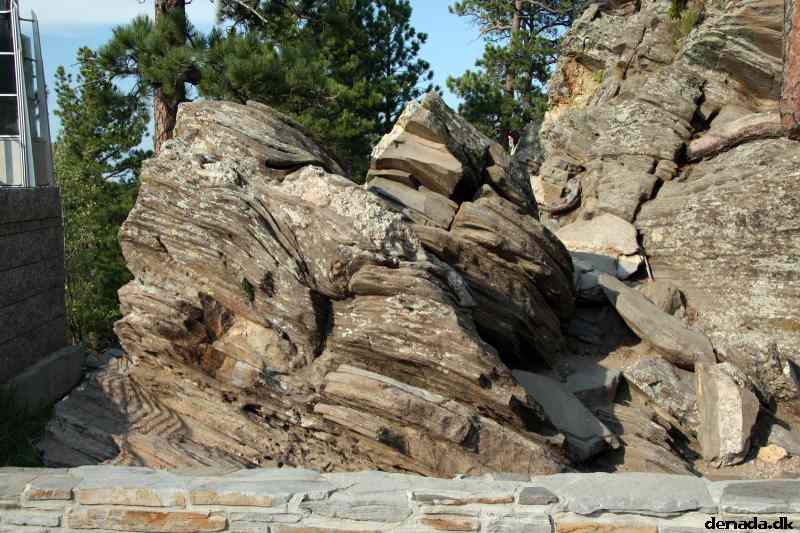 * Image 195