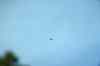 200909010006m.jpg - 2009:09:01 10:06:28