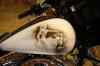 200909010113m.jpg - 2009:09:01 11:14:07