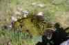 200909010270m.jpg - 2009:09:01 14:02:48
