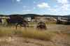 200909010306m.jpg - 2009:09:01 14:23:24
