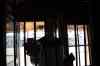 200909010366m.jpg - 2009:09:01 14:56:03