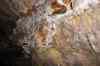 200909010391m.jpg - 2009:09:01 15:47:12