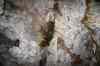 200909010392m.jpg - 2009:09:01 16:09:46