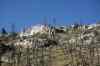 200909010434m.jpg - 2009:09:01 17:31:14
