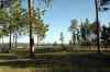 200909010443m.jpg - 2009:09:01 17:36:06