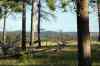 200909010446m.jpg - 2009:09:01 17:36:14