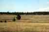 200909010458m.jpg - 2009:09:01 17:44:06