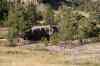200909010480m.jpg - 2009:09:01 17:47:05