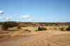 200909010504m.jpg - 2009:09:01 17:51:59