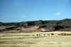 200909010518m.jpg - 2009:09:01 17:54:36