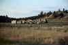 200909010530m.jpg - 2009:09:01 18:31:48