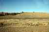 200909010541m.jpg - 2009:09:01 18:32:13