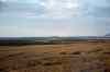 200909010583m.jpg - 2009:09:01 18:44:50