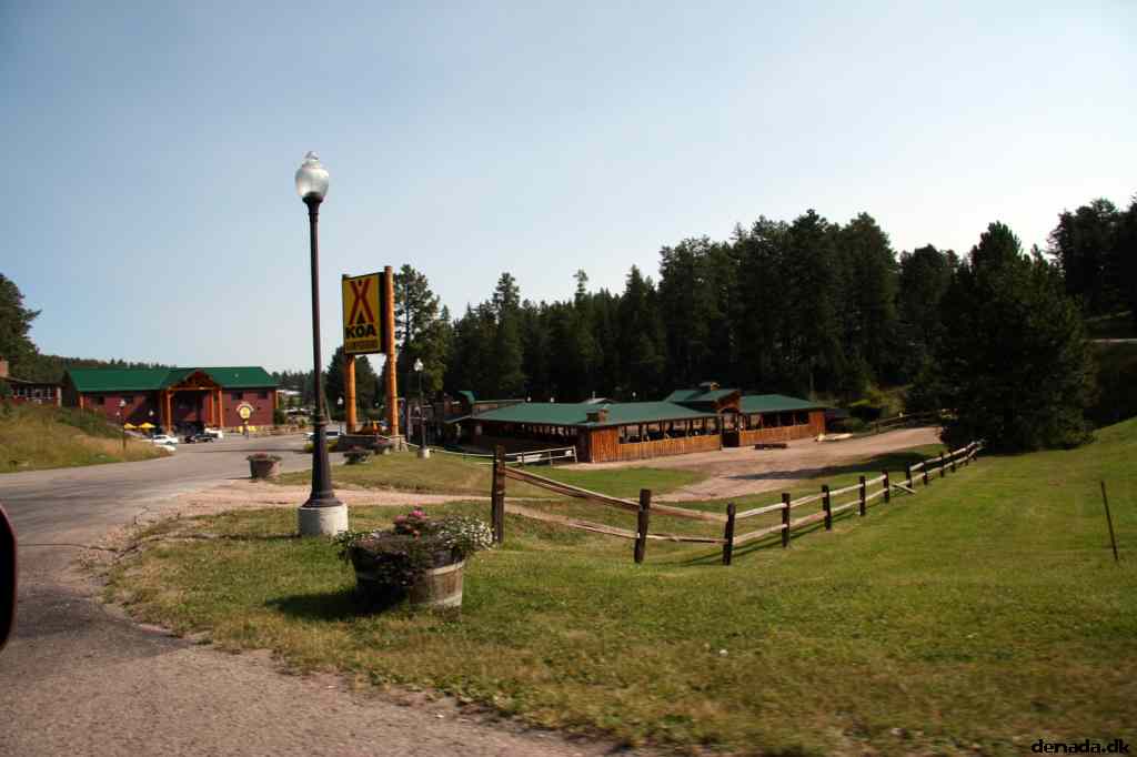 * Image 4