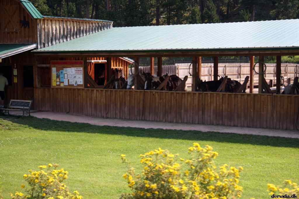 * Image 5