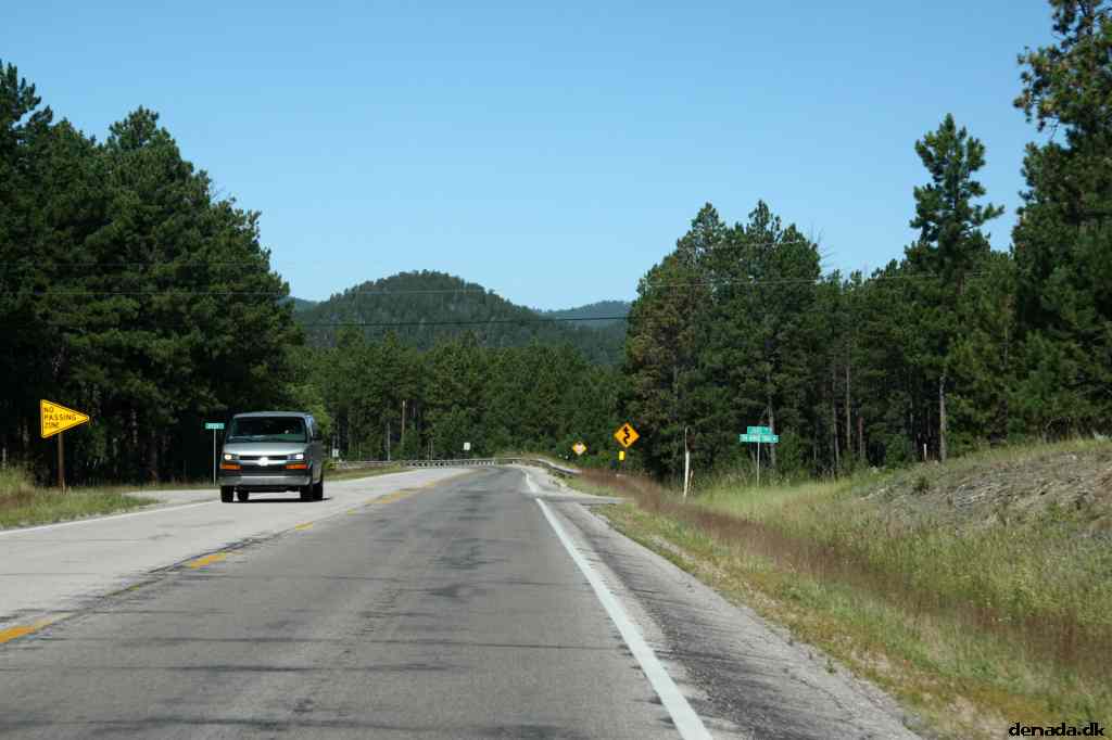 * Image 8