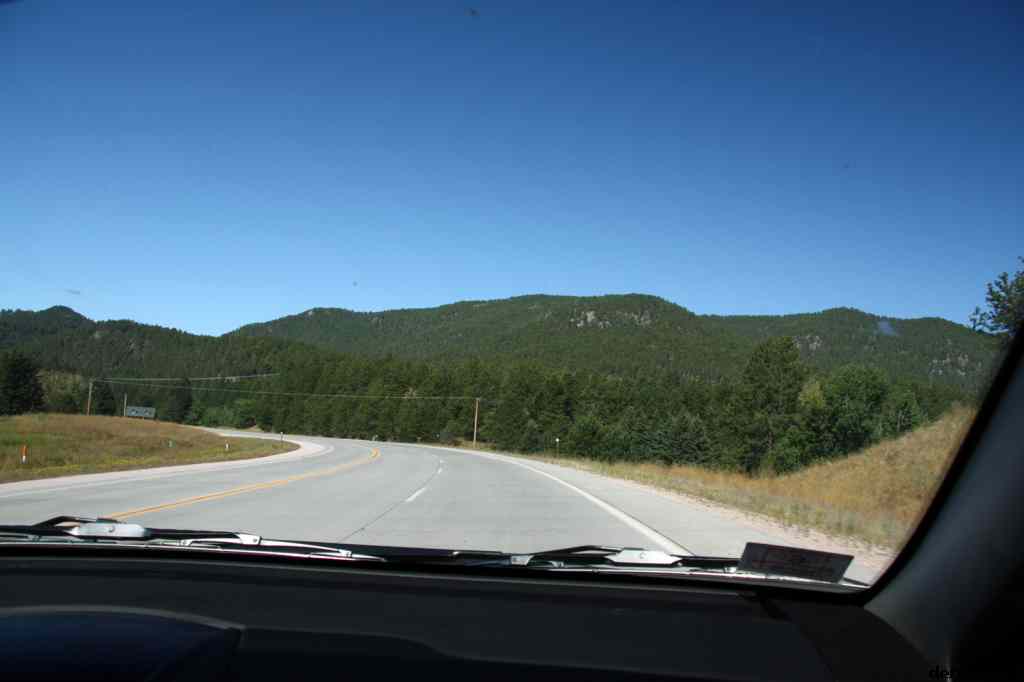 * Image 11