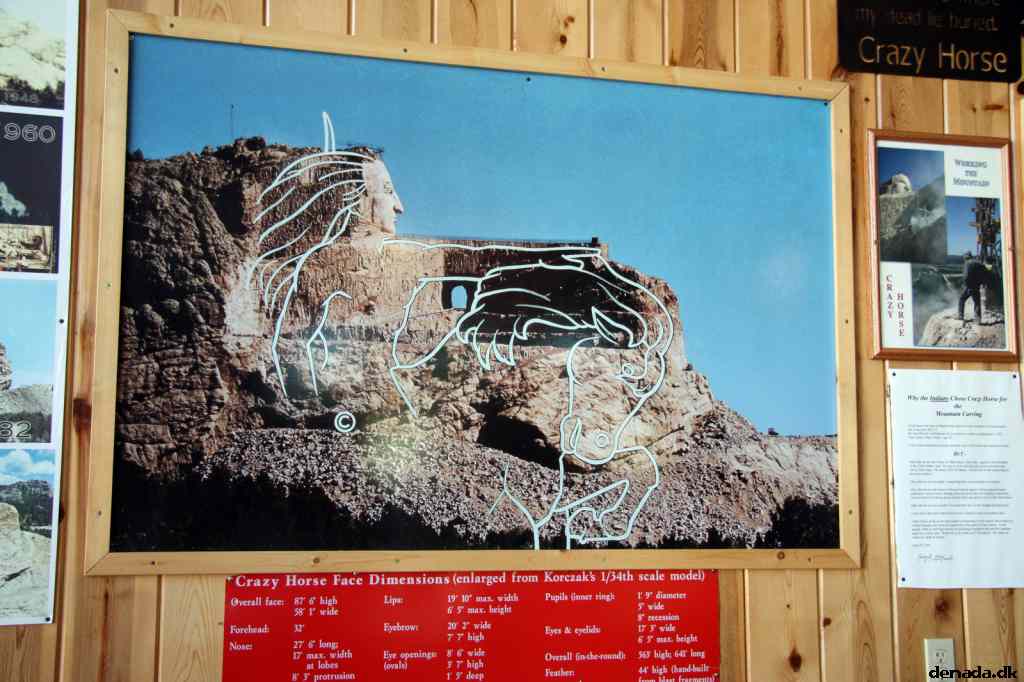 * Image 41