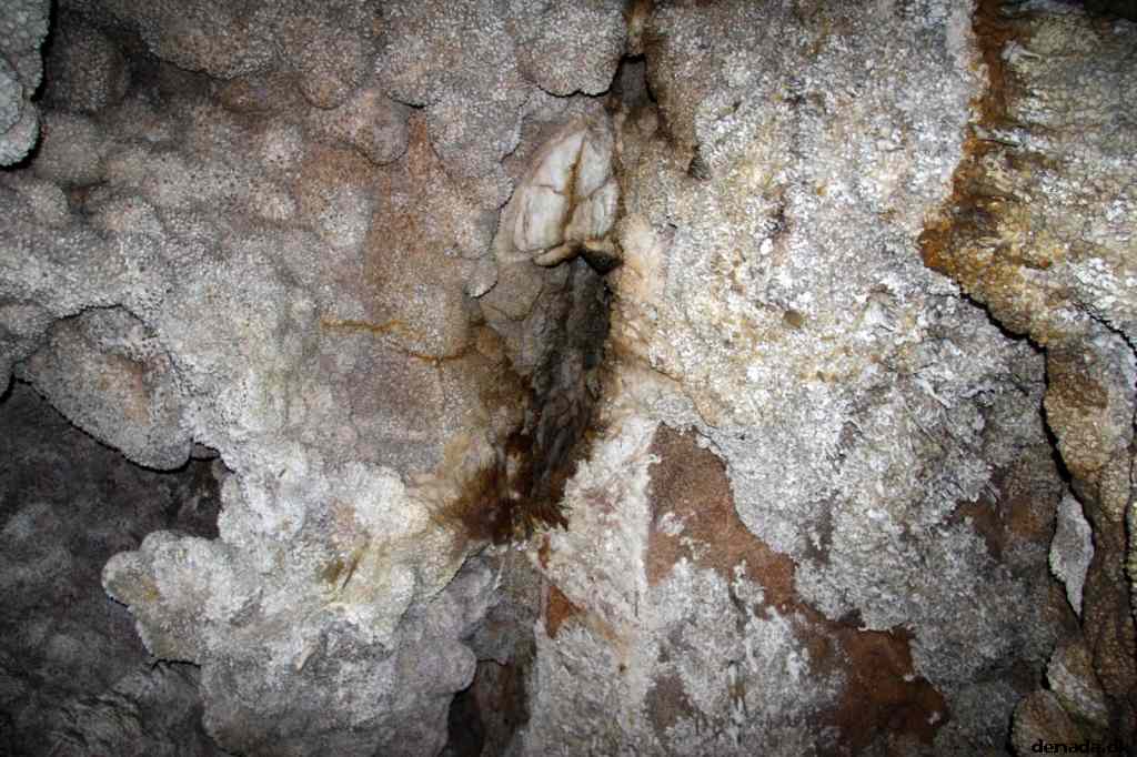 * Image 168