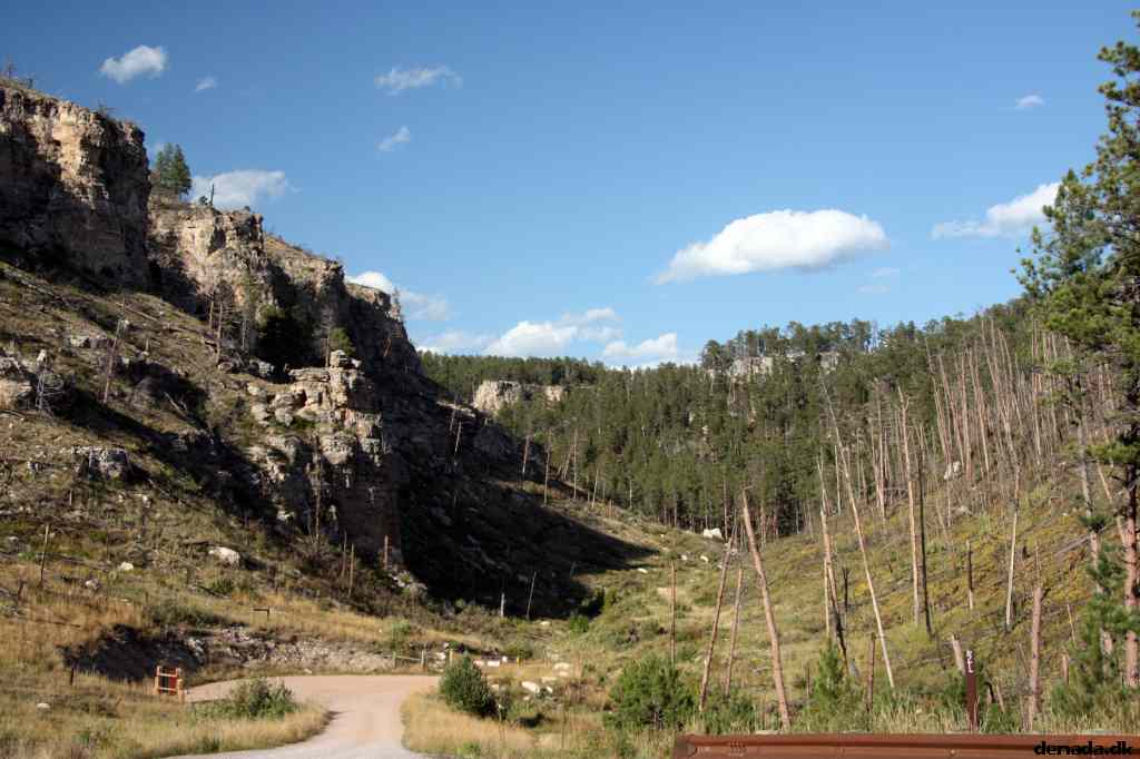 * Image 180