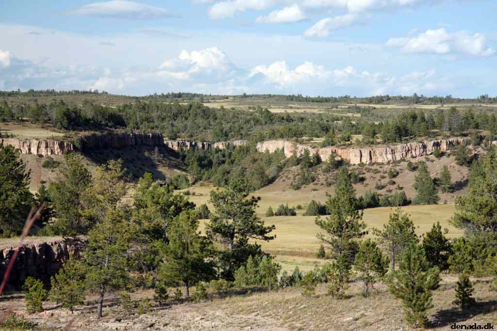 * Image 194