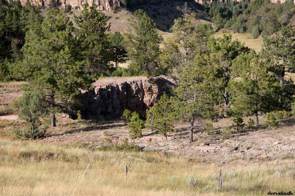 * Image 196