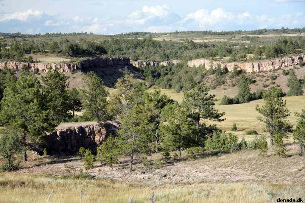 * Image 197